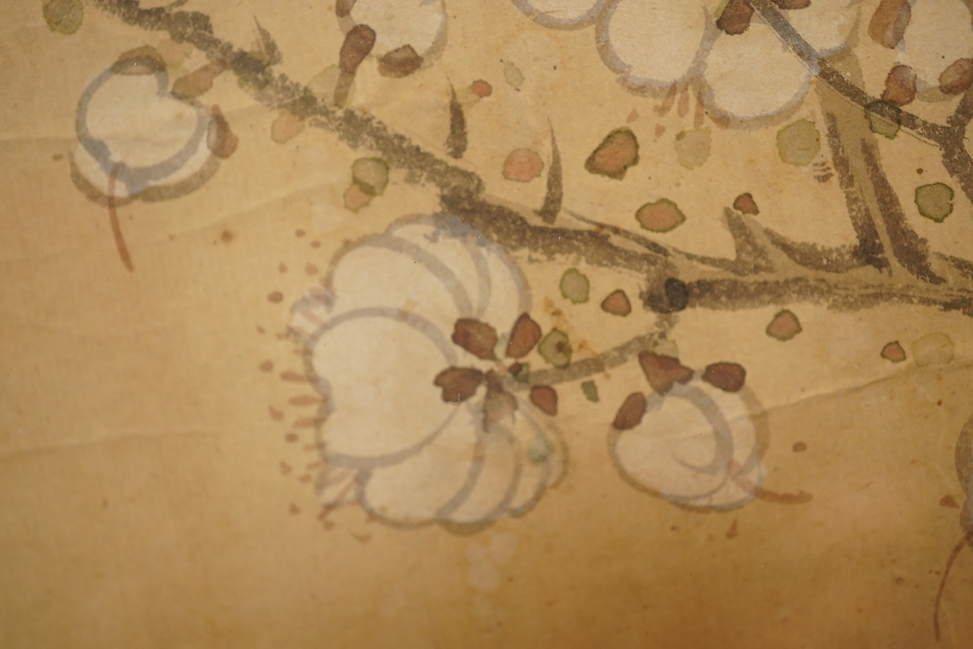 Chinese School , (18th/19th century), Phoenixes amid flowers, Ink and colour on paper; a pair